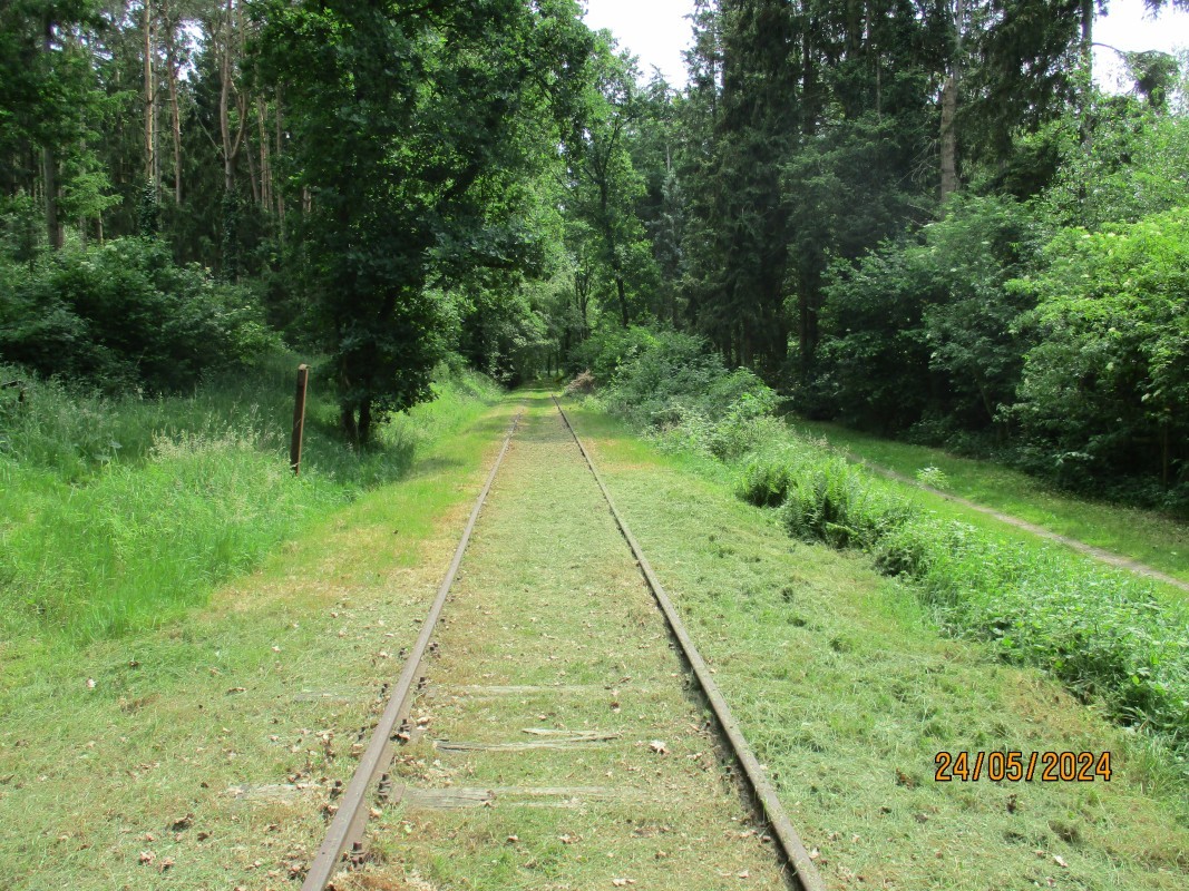 ZWNEGI16